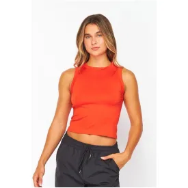 Seamless Stretchy Nylon Crop Top